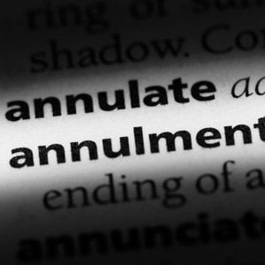 annulment word in a dictionary.