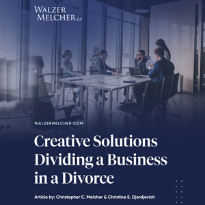 Business-Division-E-book-cover