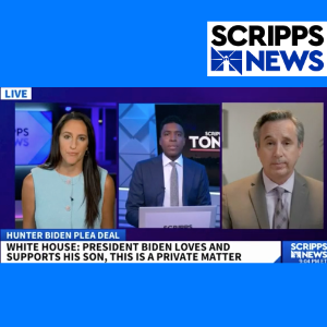 Celebrity lawyer Christopher C. Melcher explains Hunter Biden's sweet plea deal on Scripps News